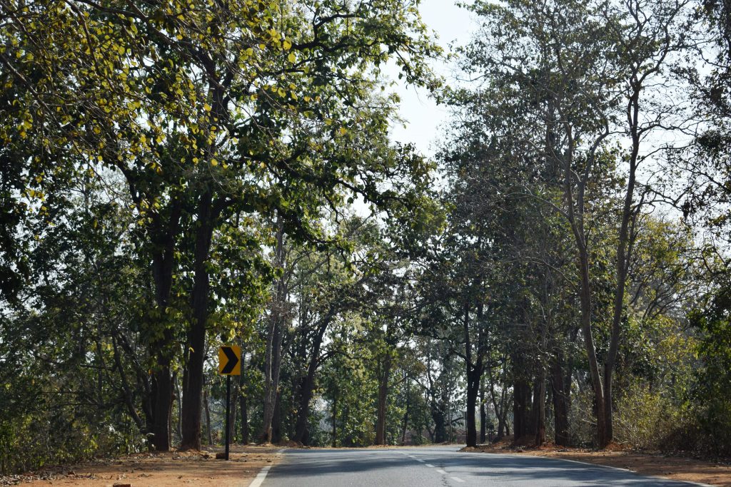 McCluskiegunj