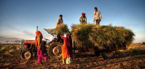 Indian Agriculture Reforms of 2020 (APMC)