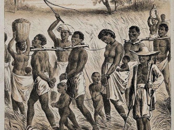 slaves brought to america