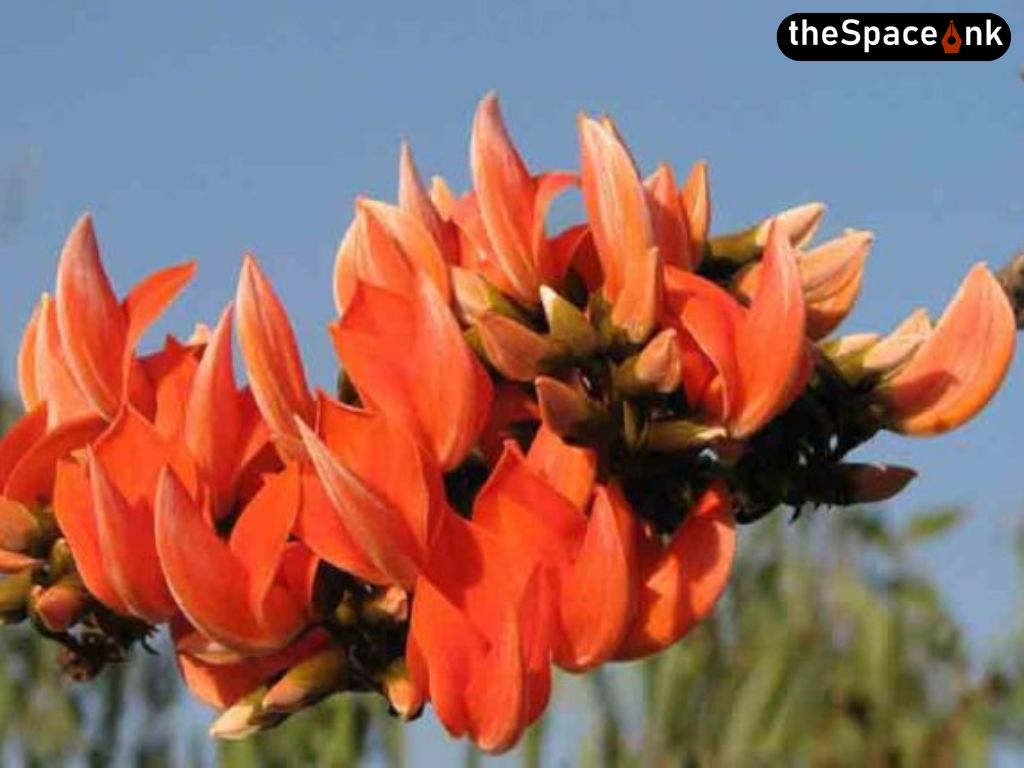 Brushstrokes of Spring