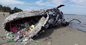 blue economy and marine plastic waste
