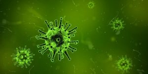 viruses and pandemic