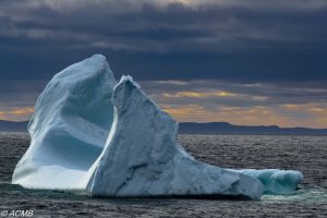 iceberg Newfoundland photo Arnab Chaudhuri
