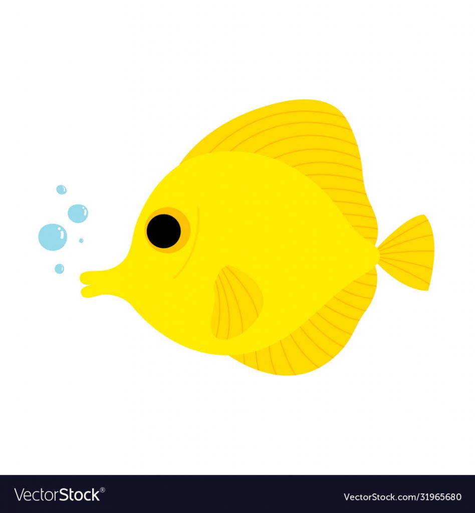story of a girl and her fishes