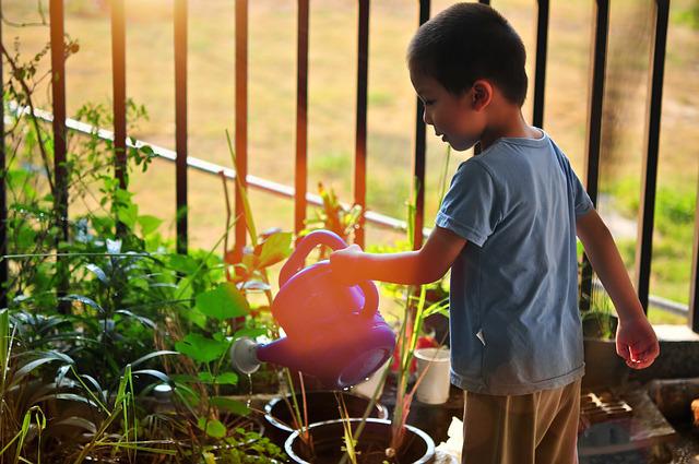 hobbies gardening