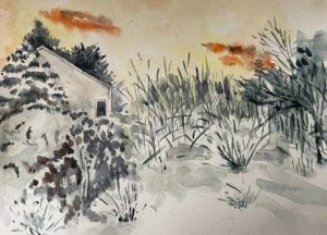 my garden series Rahul Roy