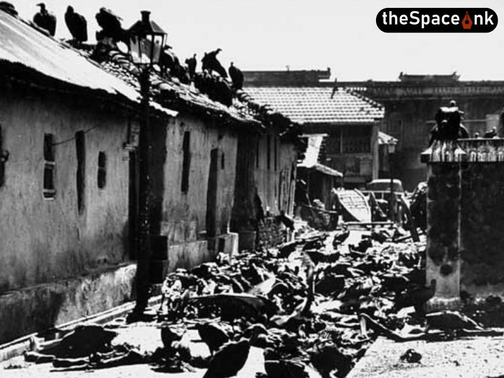 Partition and the Vernacular