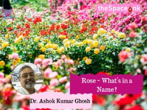 Ashok Kumar Ghosh_Rose_Cover_05.12.2024_IC