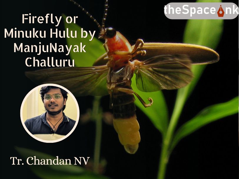 Firefly_Chandan NV_Translation_Cover