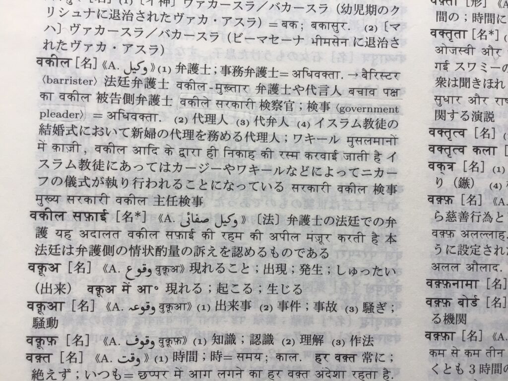 Hindi-Japanese dictionary Hindi_Mayumi_Essay_VB