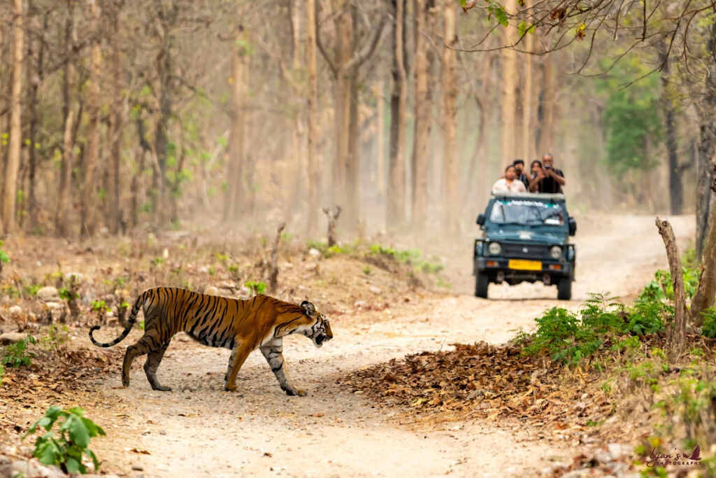 Jim Corbett National Park