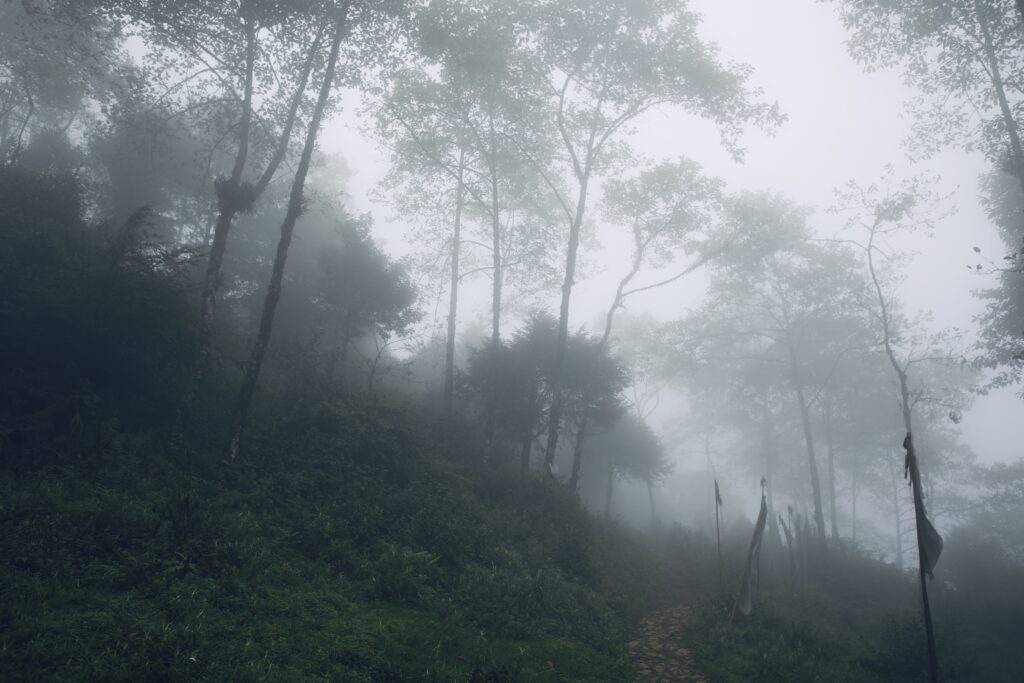 Monsoon in the hills