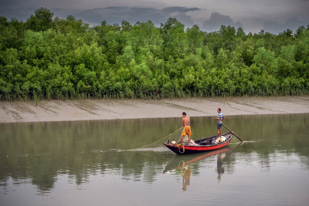 Sunderban