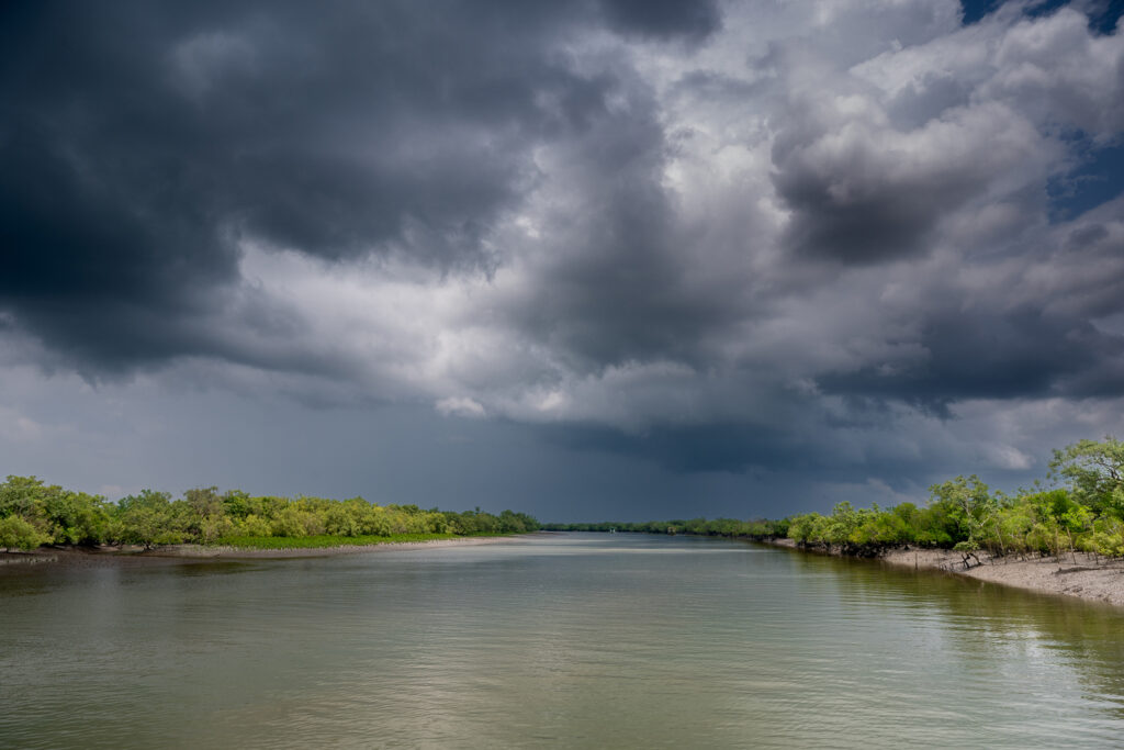 Sunderban