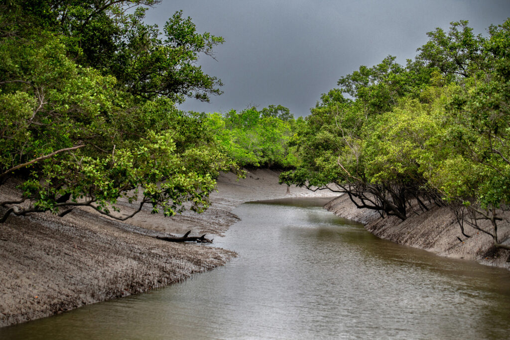 Sunderban