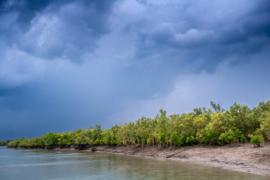 Sunderban