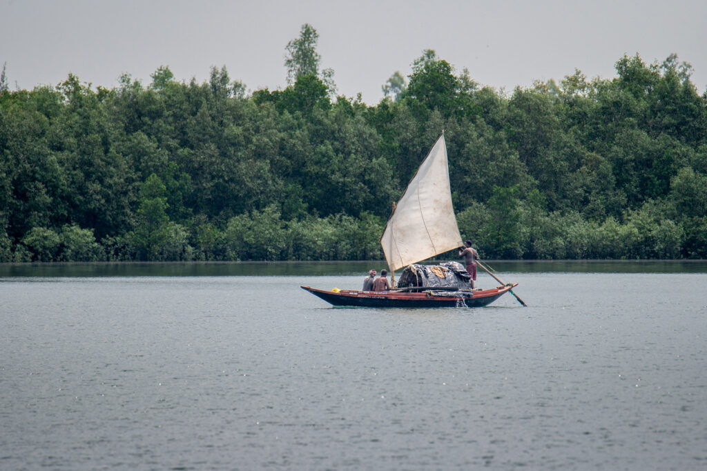 Sunderban