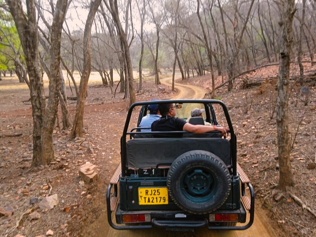 Ranthambore National Park