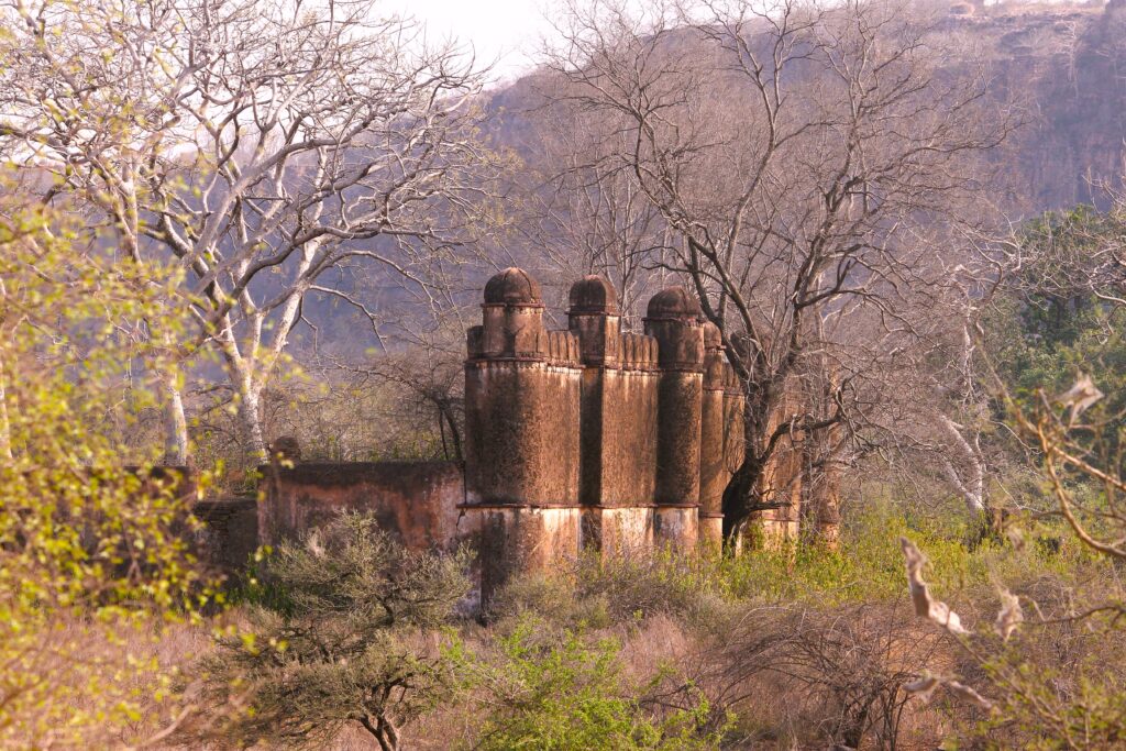 Ranthambore National Park