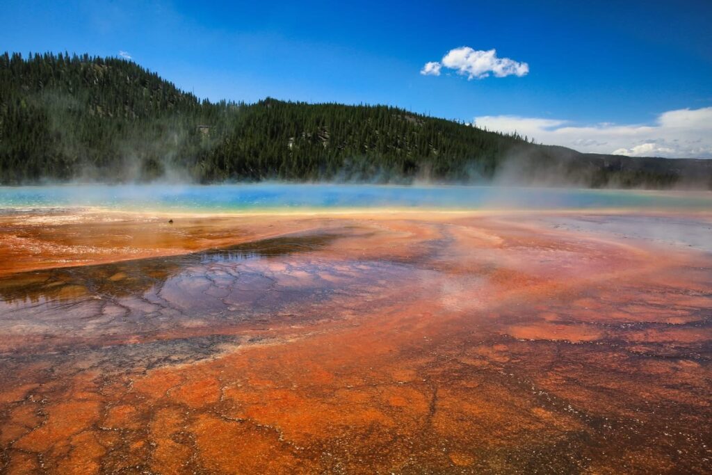 Yellowstone