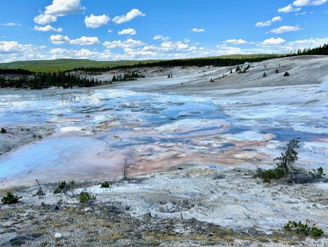 Yellowstone
