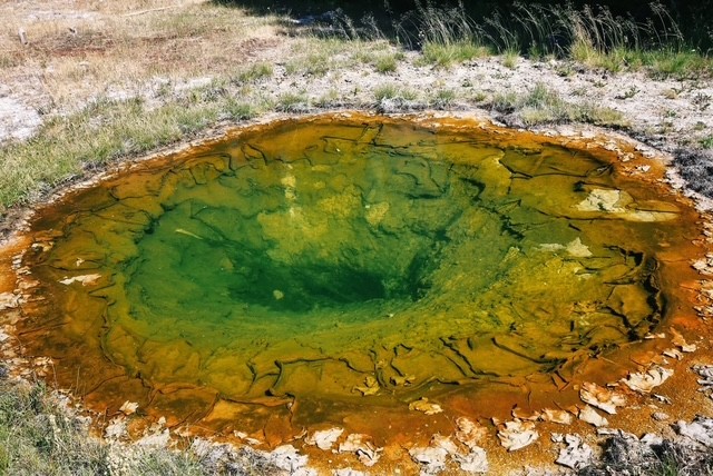 Yellowstone