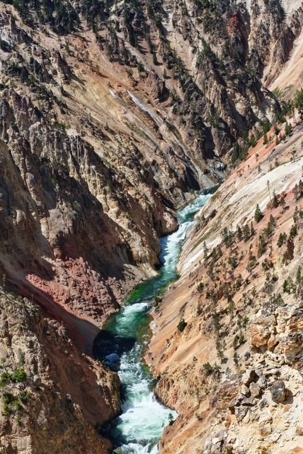 Yellowstone