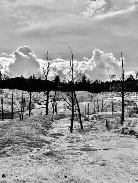 Yellowstone