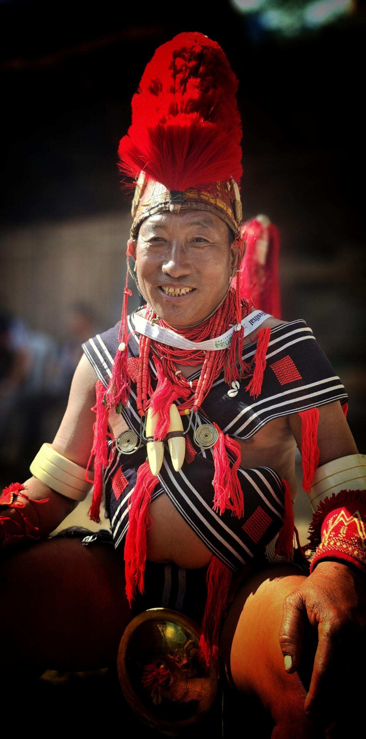 Hornbill Festival