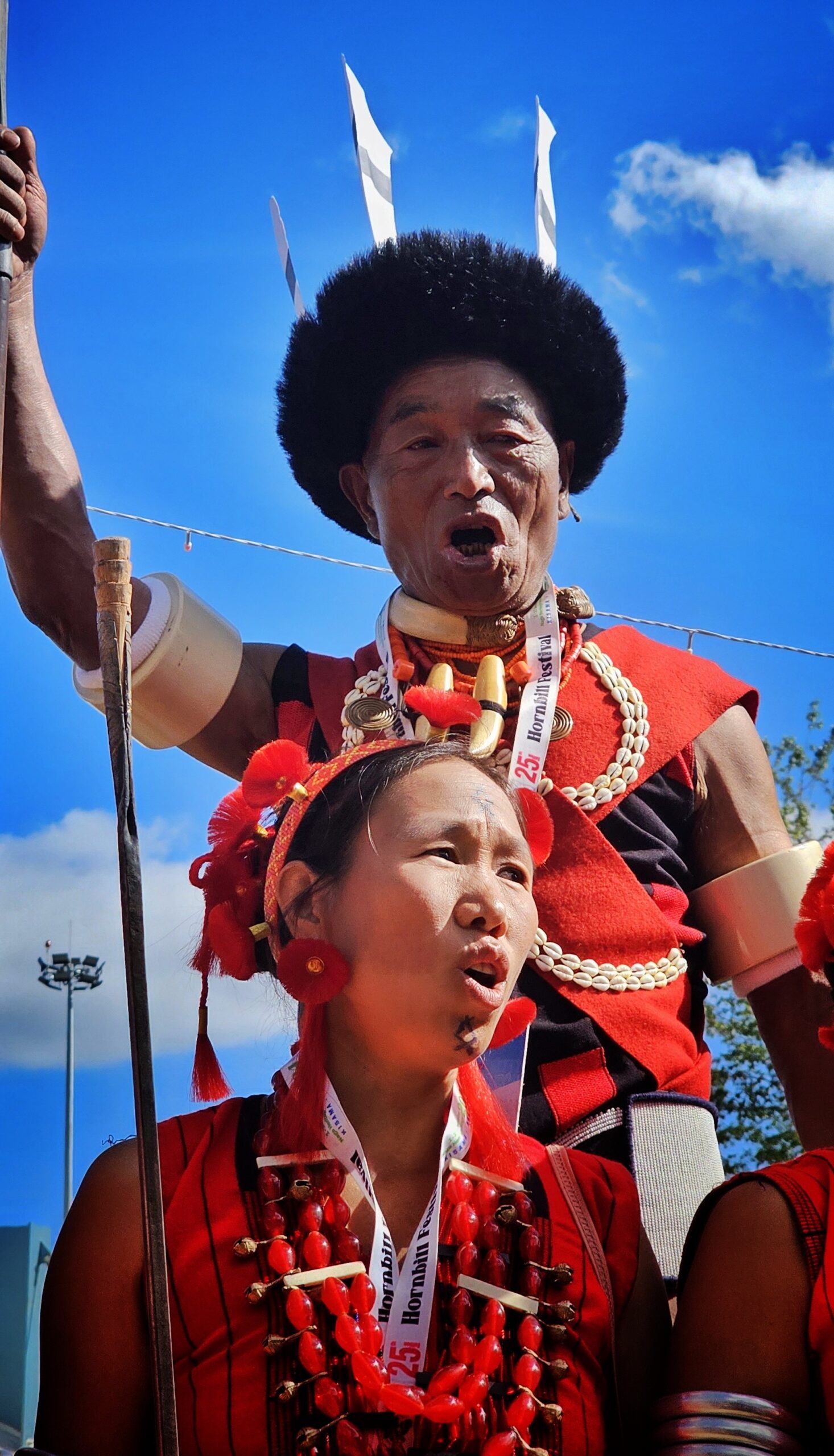 Hornbill Festival