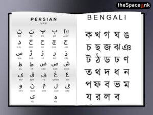 Bengal in Persian Shadows