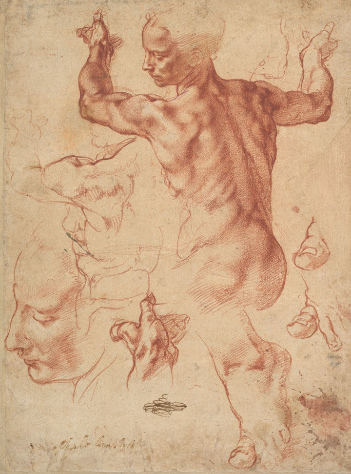 Michelangelo