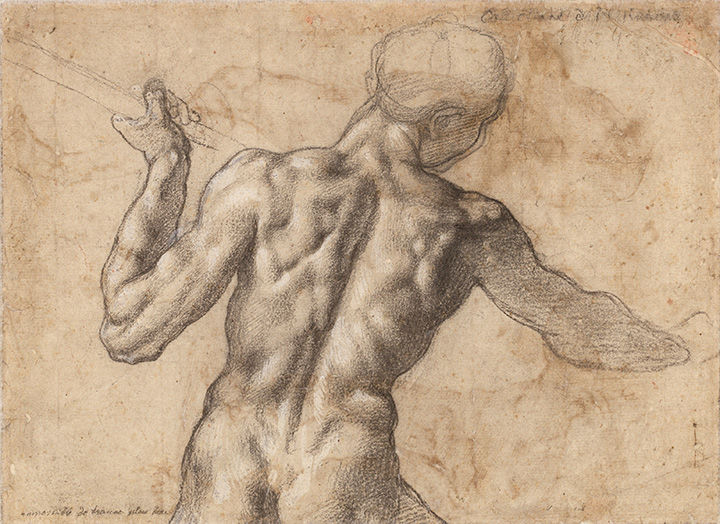 Michelangelo