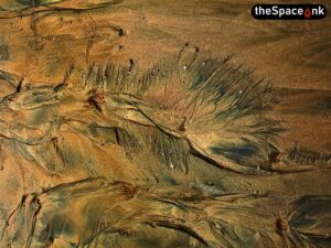 Echoes Along the Shoreline