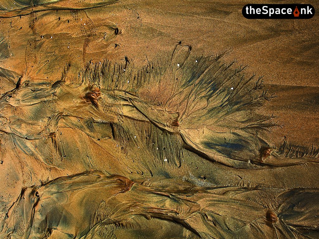 Echoes Along the Shoreline