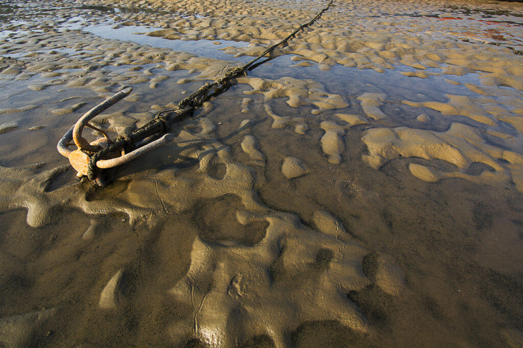 Echoes Along the Shoreline