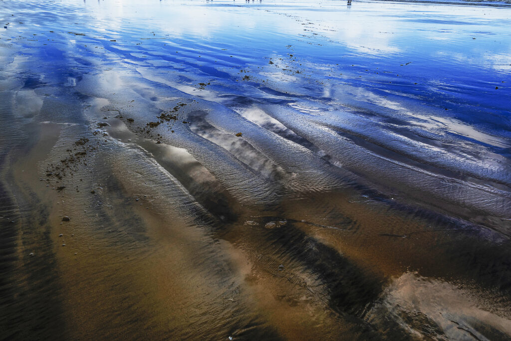 Echoes Along the Shoreline