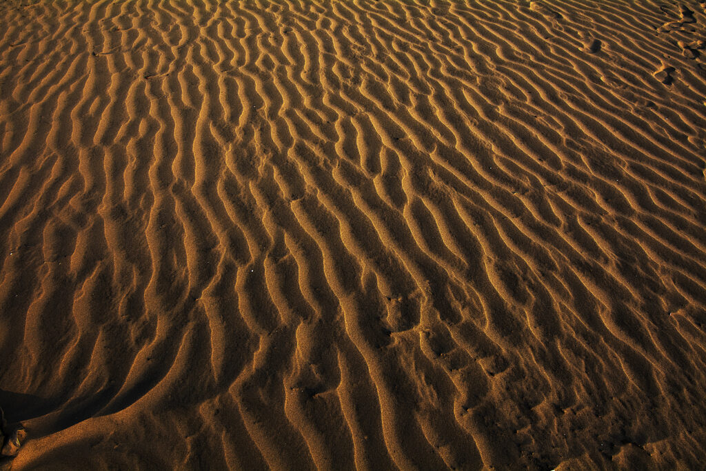 Echoes Along the Shoreline