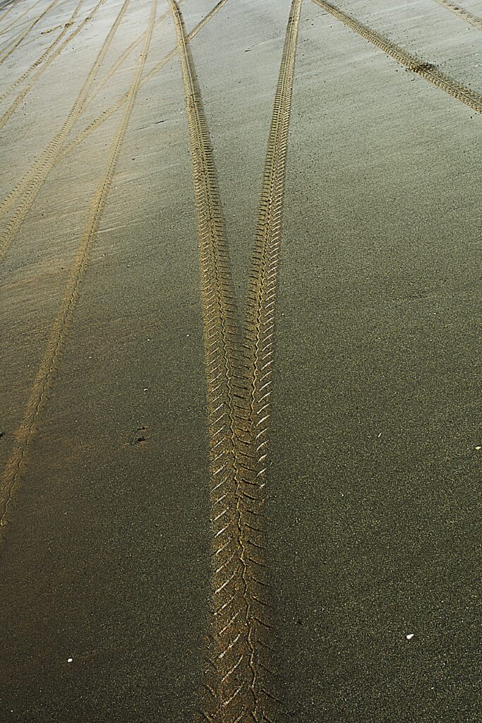 Echoes Along the Shoreline