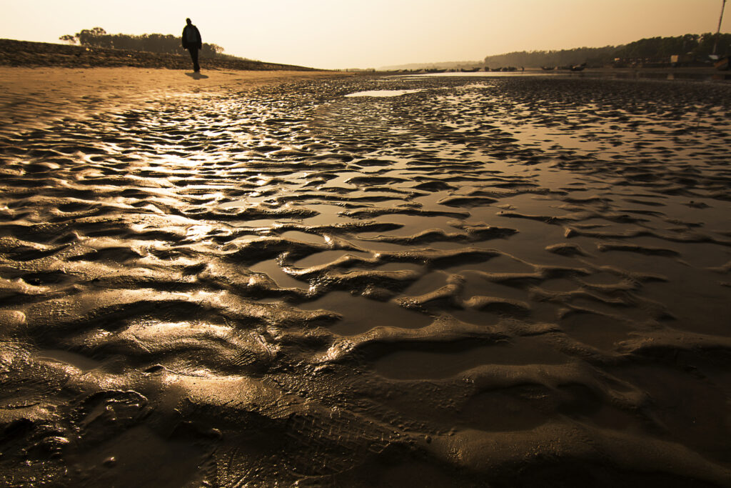 Echoes Along the Shoreline