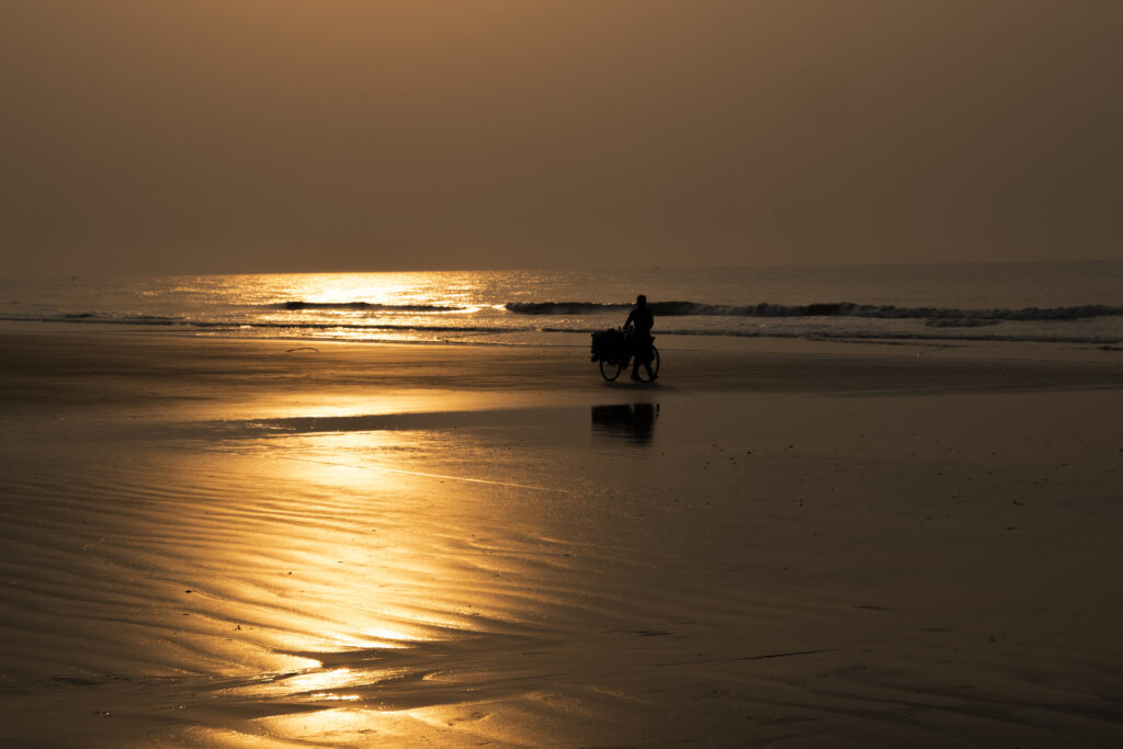 Echoes Along the Shoreline