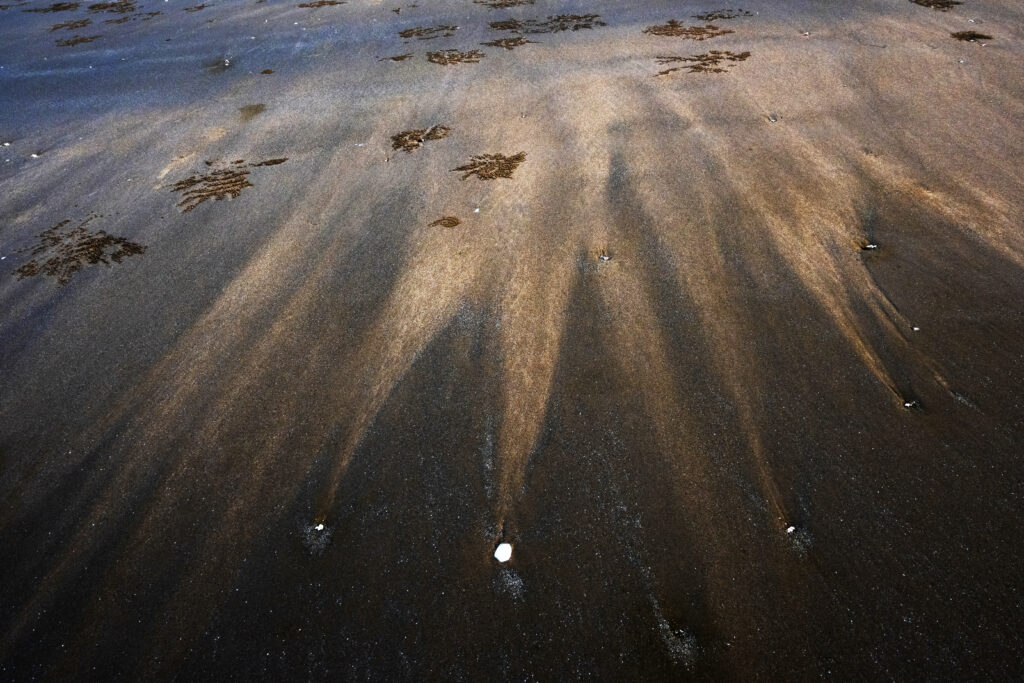 Echoes Along the Shoreline