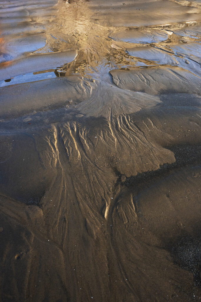 Echoes Along the Shoreline