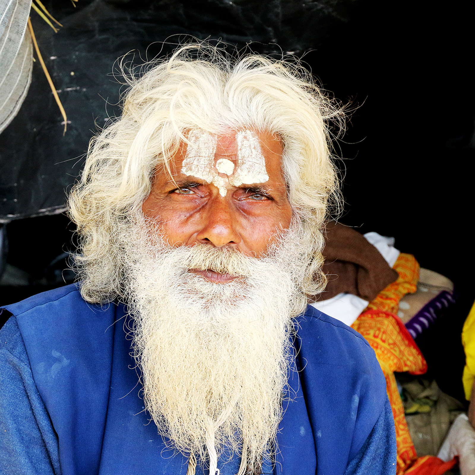 Eloquence of the Eye_Nilanjan Ray