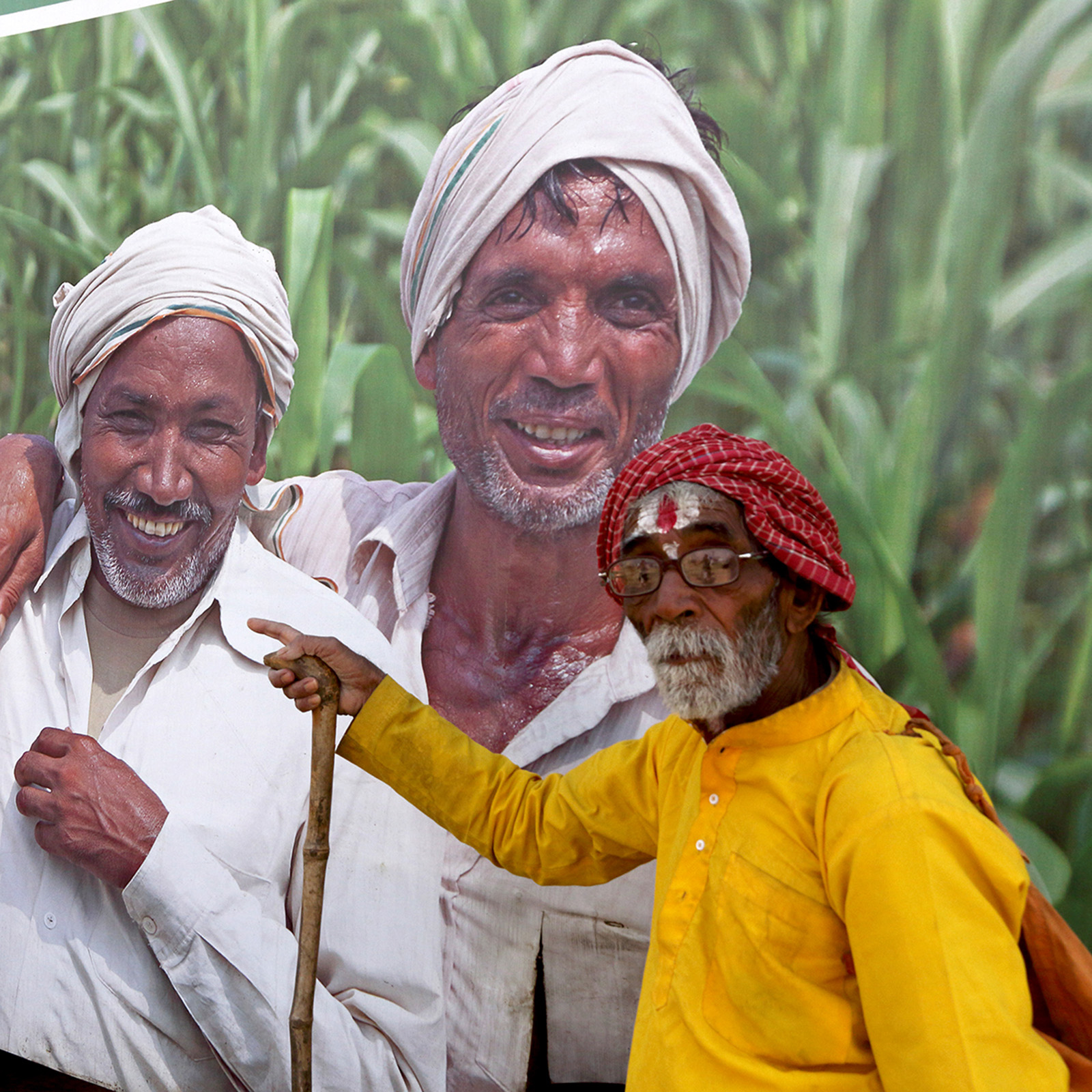 Eloquence of the Eye_Nilanjan Ray
