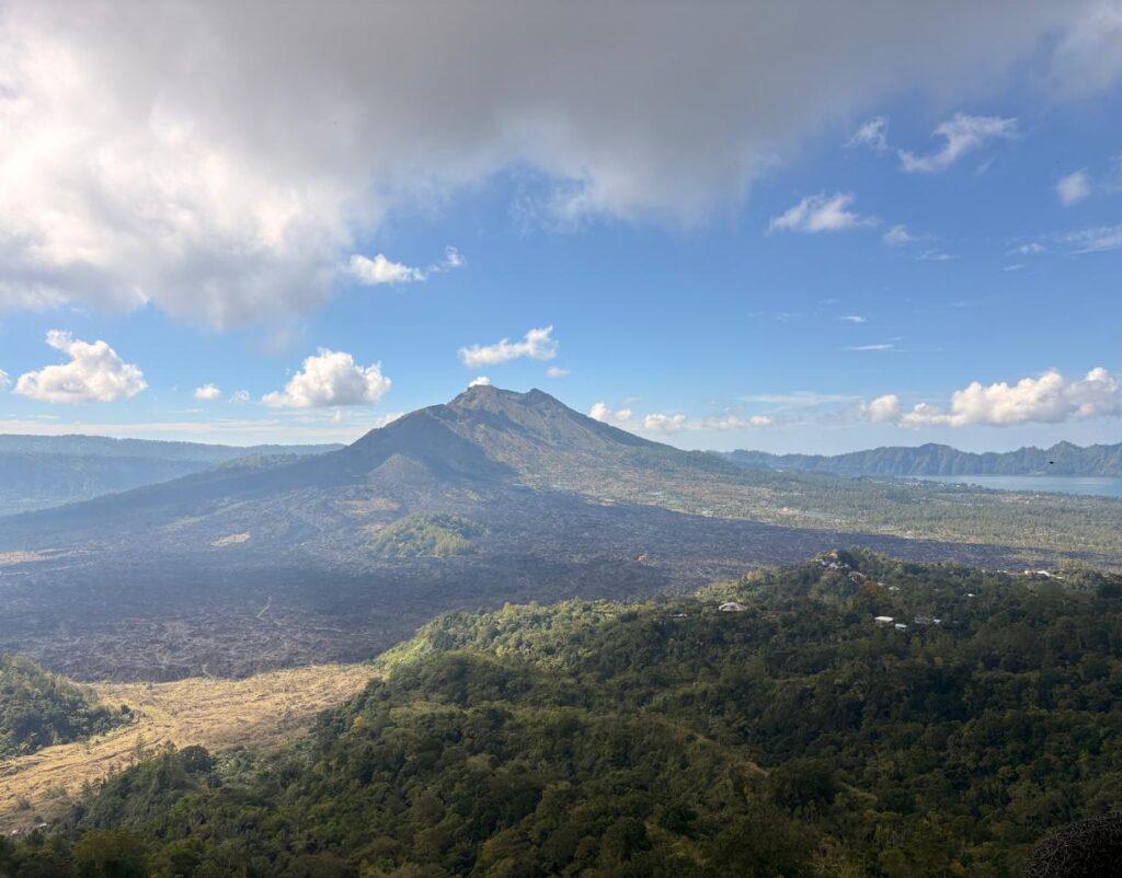 Bali and the Business of Paradise