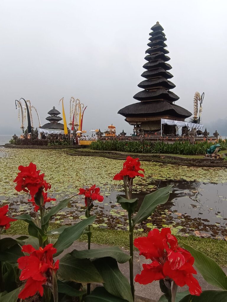 Bali and the Business of Paradise