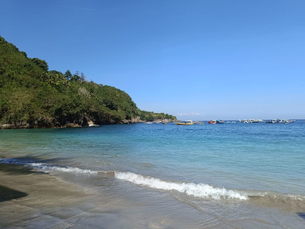 Bali and the Business of Paradise