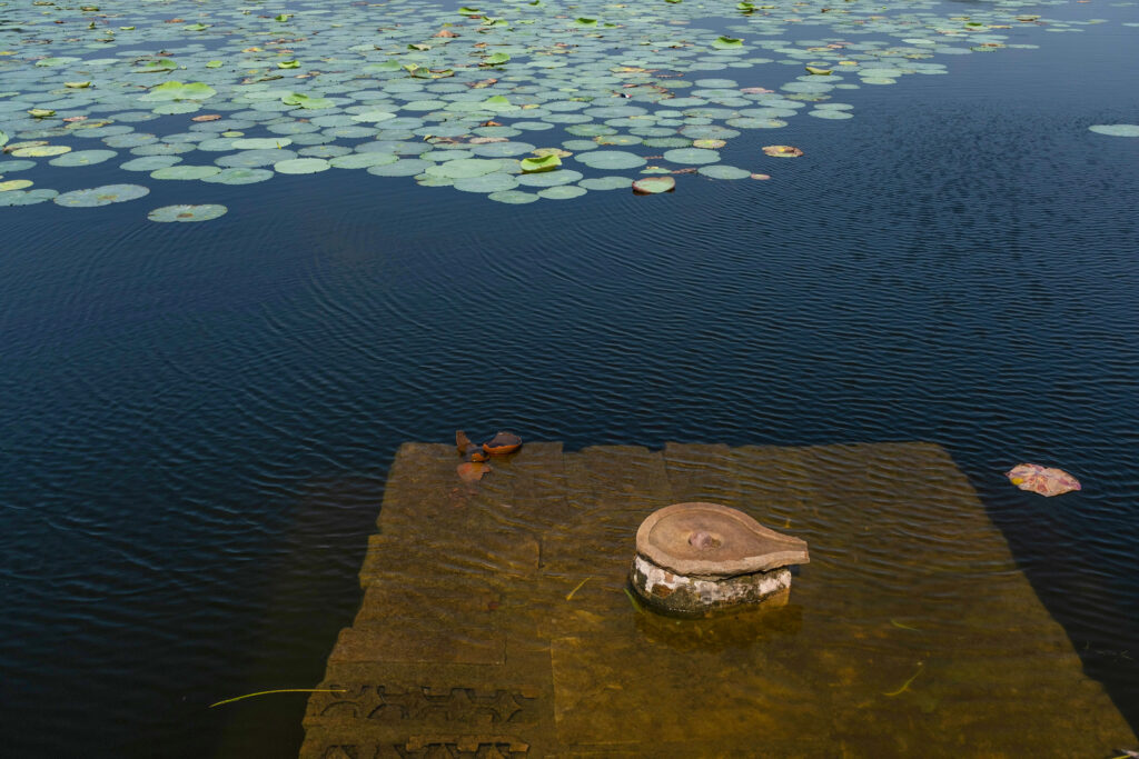 Fragments of Life_Debrani Das