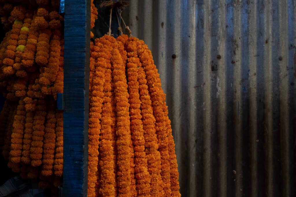 Fragments of Life_Debrani Das